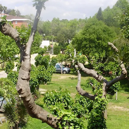 Camping Pensión