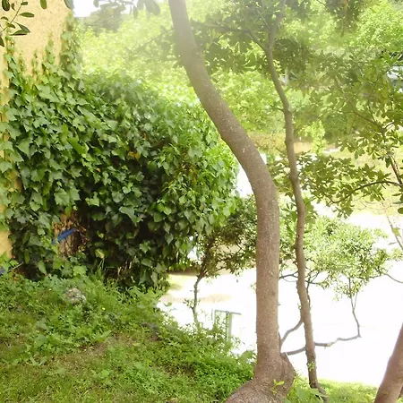 Pensión Camping 3*