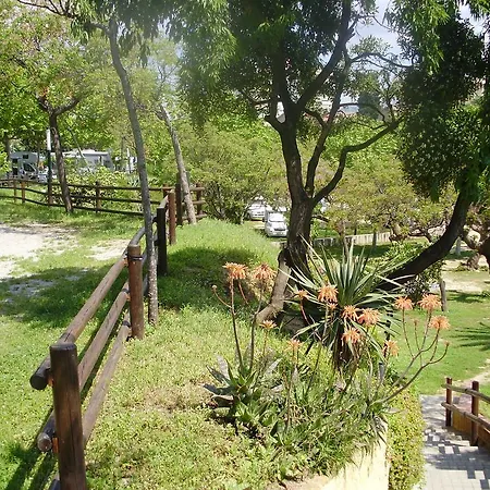 Camping El Masnou