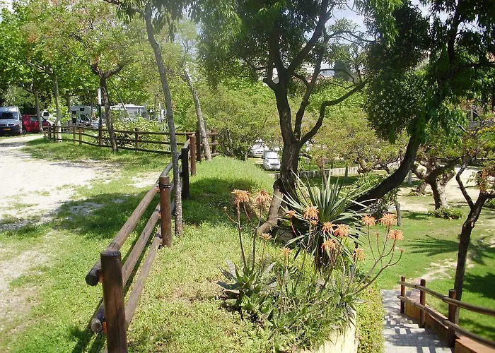 Camping מזנואו