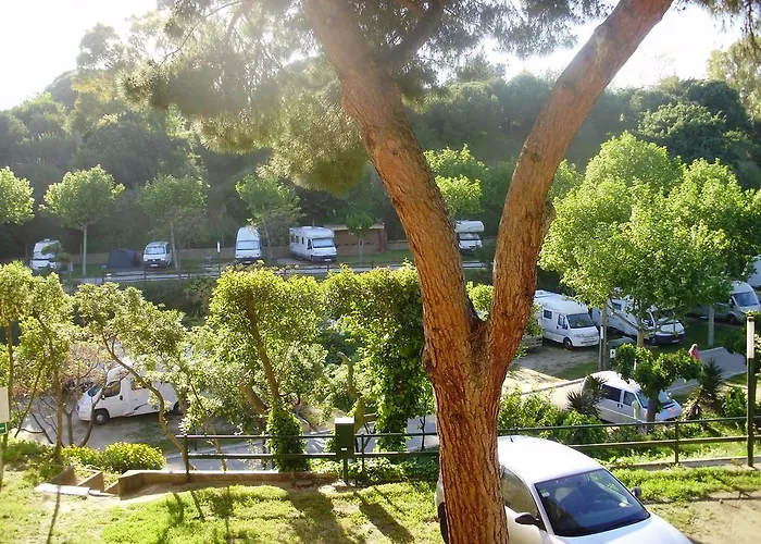 בית הארחה Camping